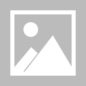 九州娱乐官方网站登录入口（九州娱乐体育、真人、游戏）-斯图加特主场作战，希望赢得全取三分的简单介绍